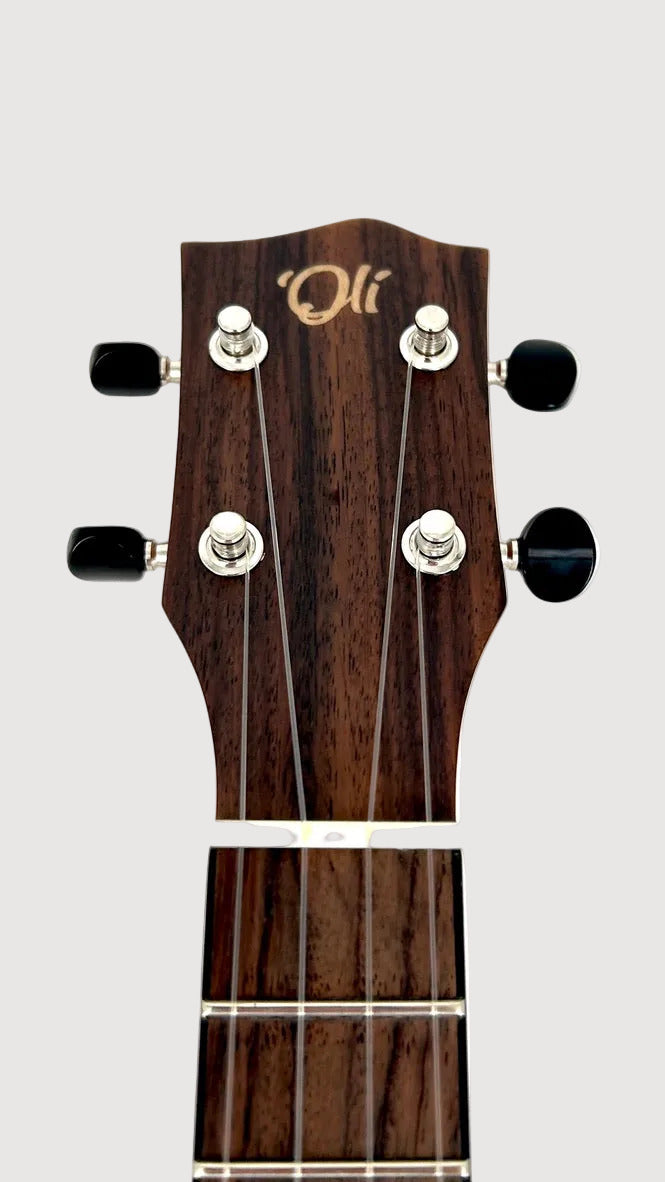 'Oli L Concert Mahagoni satin (L-CM-S)