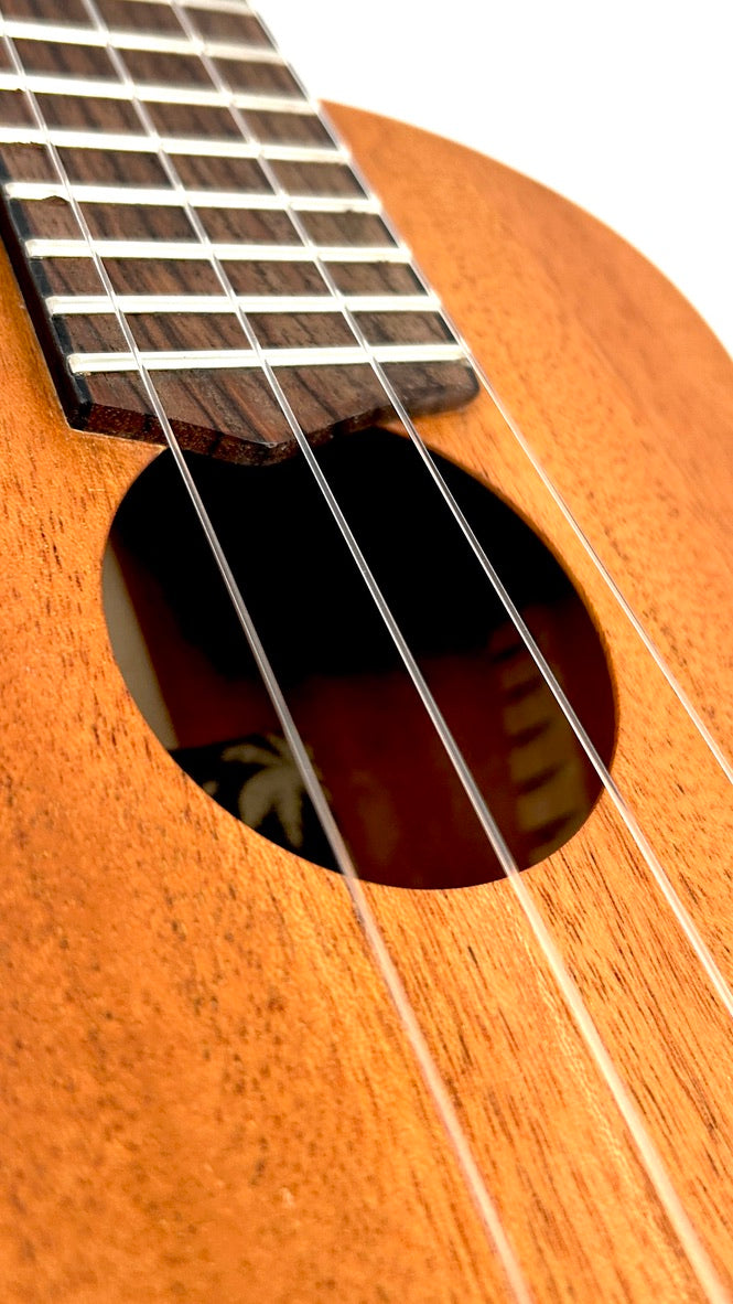 'Oli L Concert Mahagoni satin (L-CM-S)