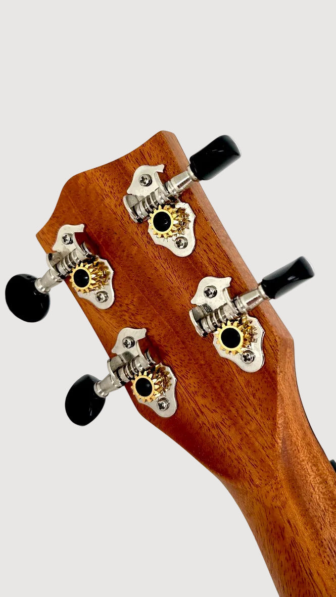 'Oli L Concert Mahagoni satin (L-CM-S)