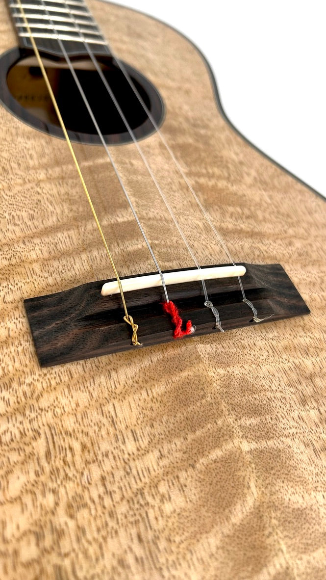 'Oli Bariton L2 Mango gloss 2024 (L2 BMG)