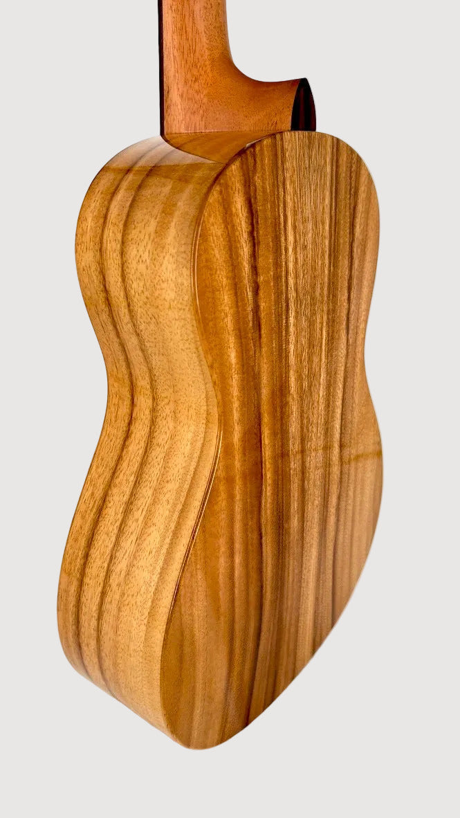 'Oli L1 Bariton Acacia gloss (L1-BA)