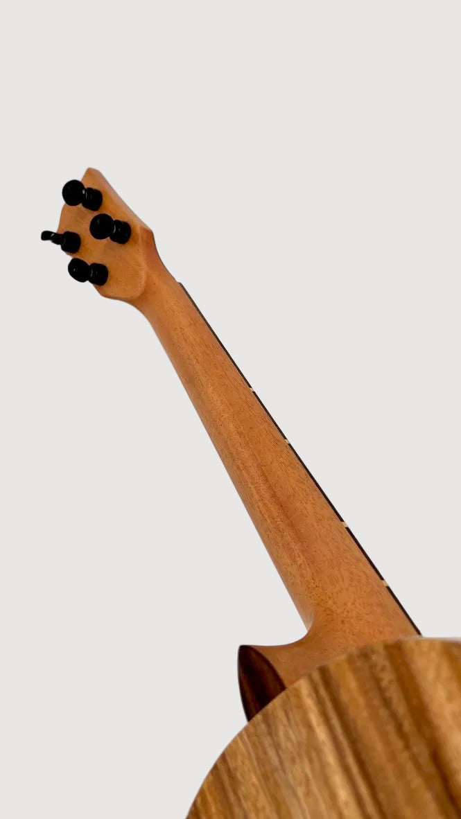 'Oli L1 Bariton Acacia gloss (L1-BA)