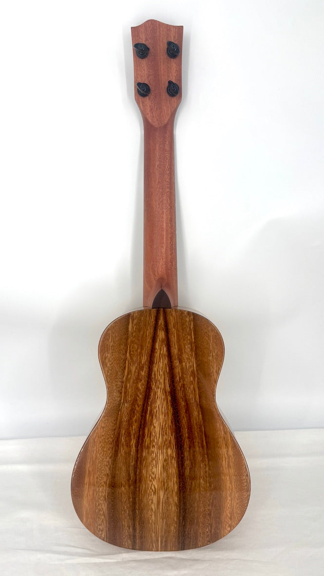 'Oli L1 Concert Acacia gloss (L1-CA)