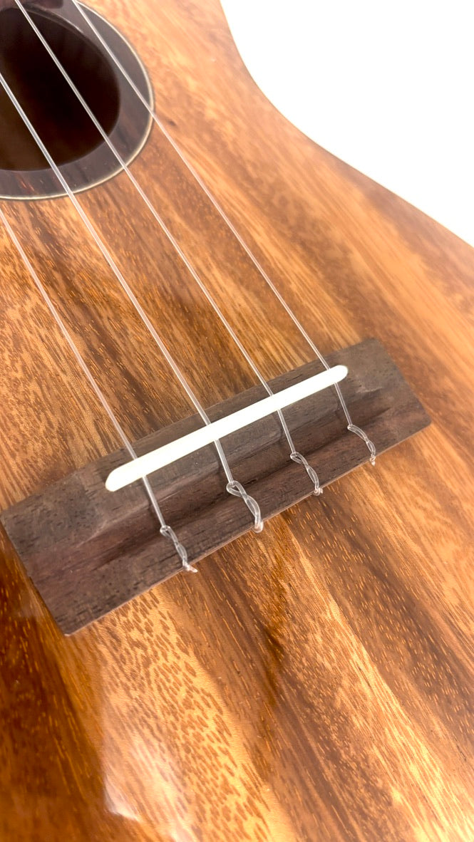 'Oli L1 Concert Acacia gloss (L1-CA)