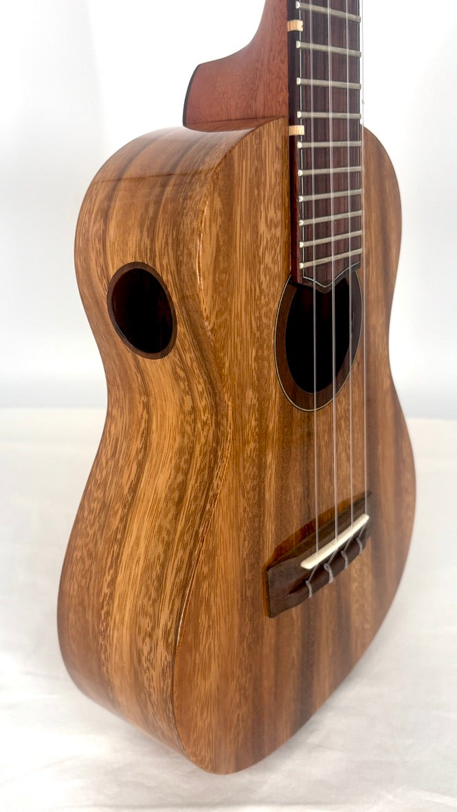 'Oli L1 Concert Acacia gloss (L1-CA)