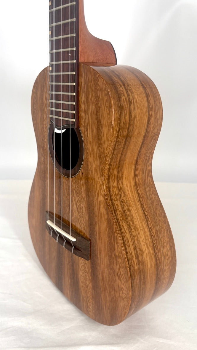 'Oli L1 Concert Acacia gloss (L1-CA)