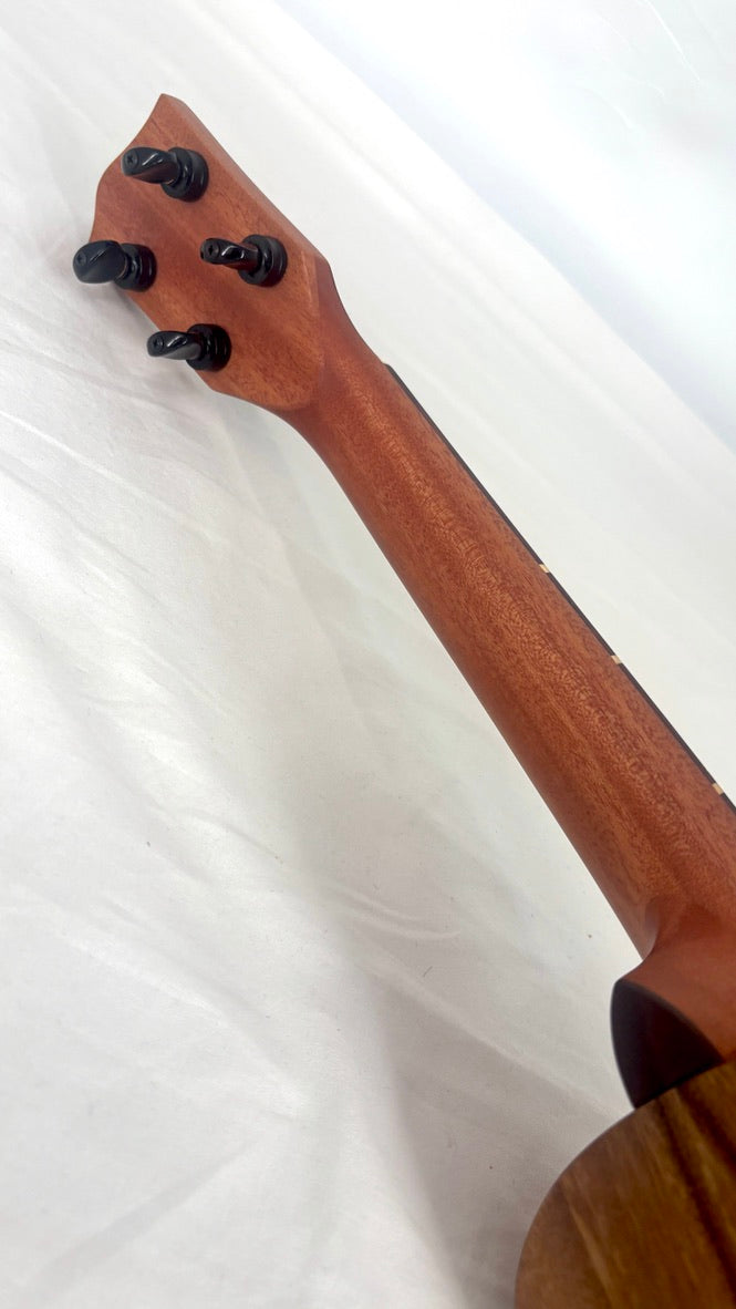 'Oli L1 Concert Acacia gloss (L1-CA)