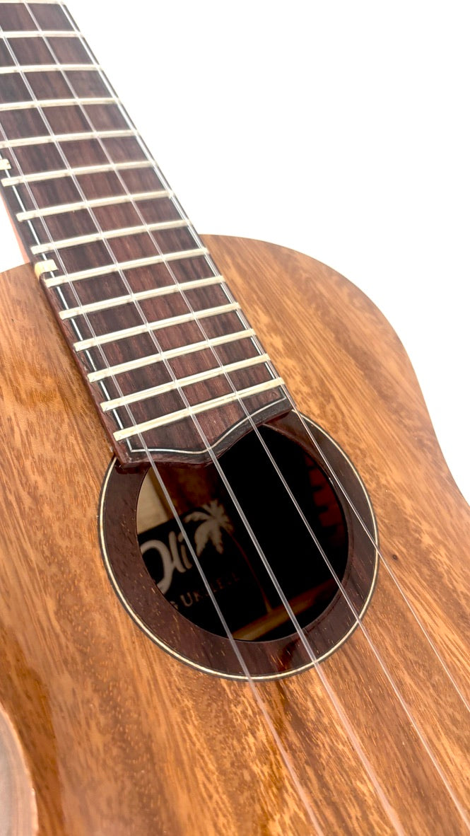 'Oli L1 Concert Acacia gloss (L1-CA)