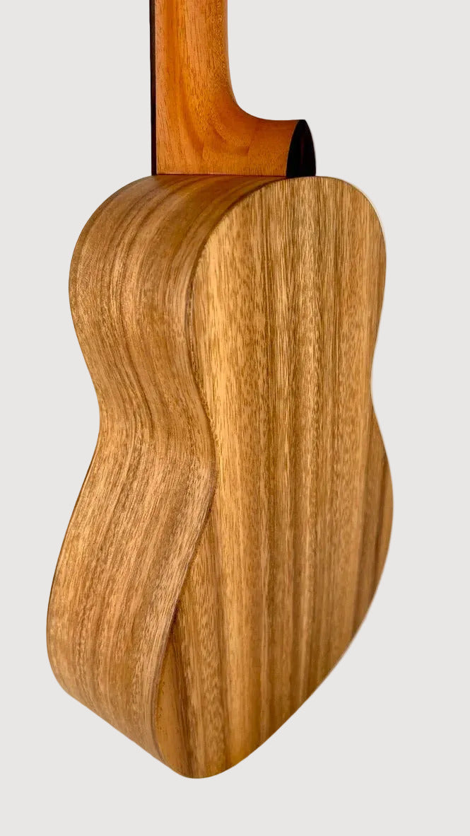 'Oli L1 Tenor Acacia satin (L1-TA-S)