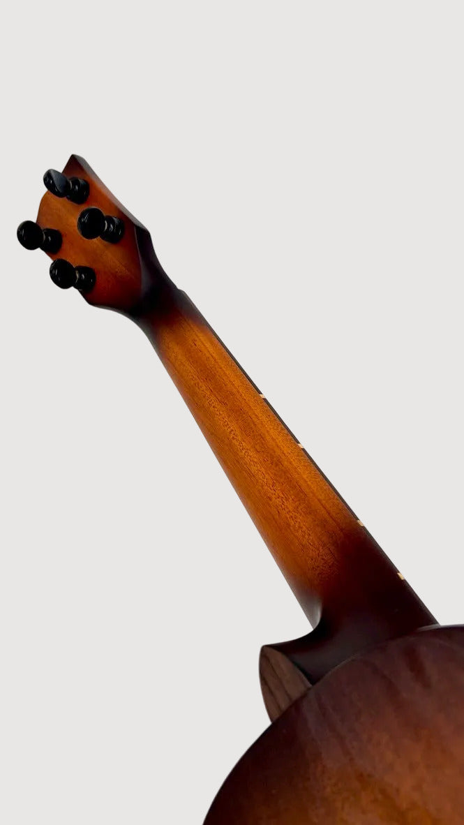 'Oli L1 Tenor Spruce Waru Vintage Burst gloss (L1-SP-TSWA-VB)
