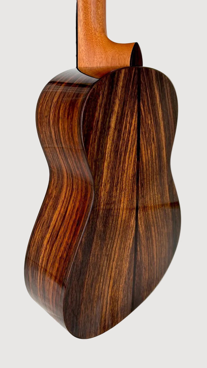 'Oli L2 Bariton Spruce Rosewood gloss (L2-BSR)
