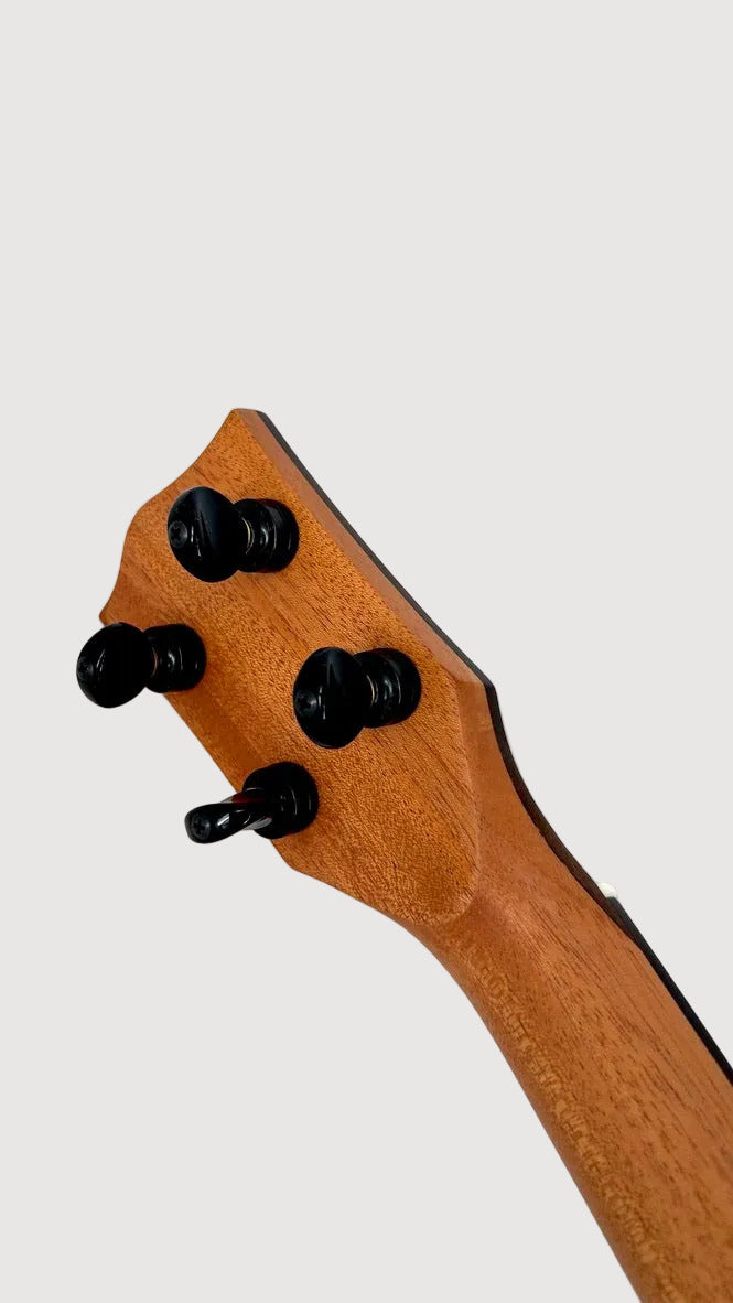 'Oli L2 Bariton Spruce Rosewood gloss (L2-BSR)