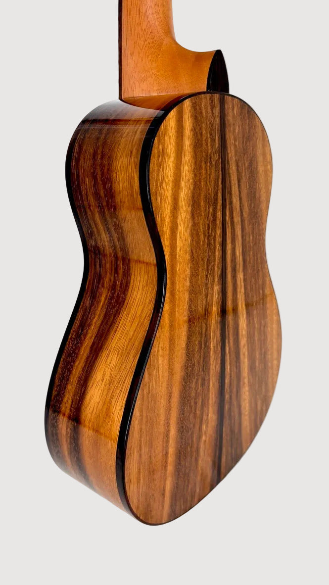 'Oli L2 Concert Acacia gloss Monstera Inlay (L2-CA)