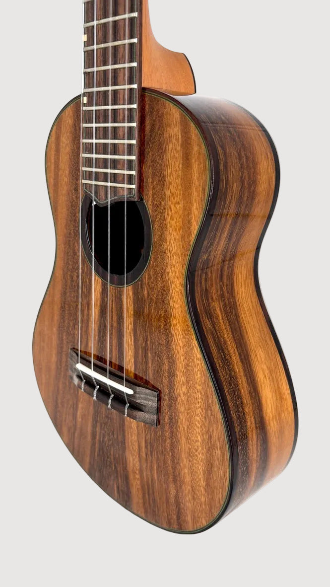 'Oli L2 Concert Acacia gloss Monstera Inlay (L2-CA)