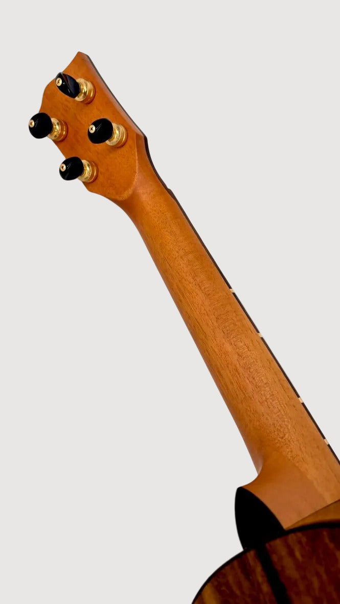 'Oli L2 Concert Acacia gloss Monstera Inlay (L2-CA)