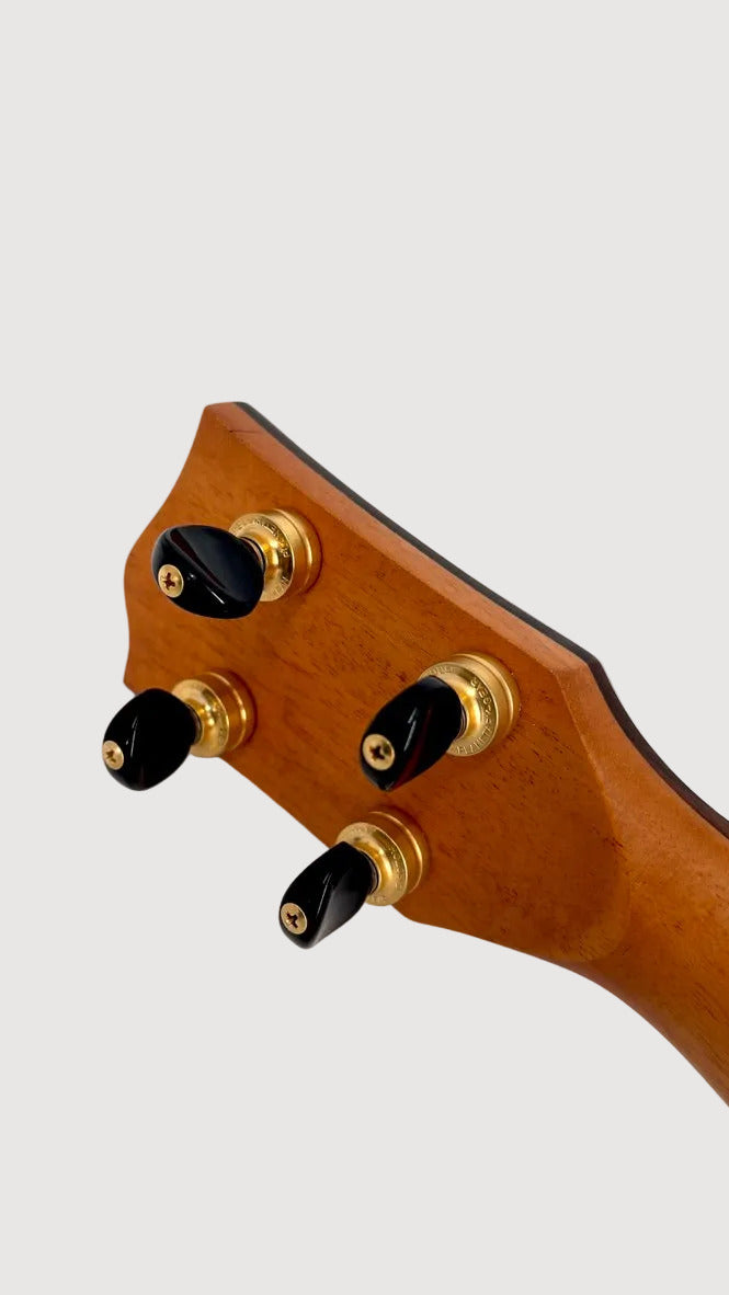 'Oli L2 Concert Acacia gloss Monstera Inlay (L2-CA)