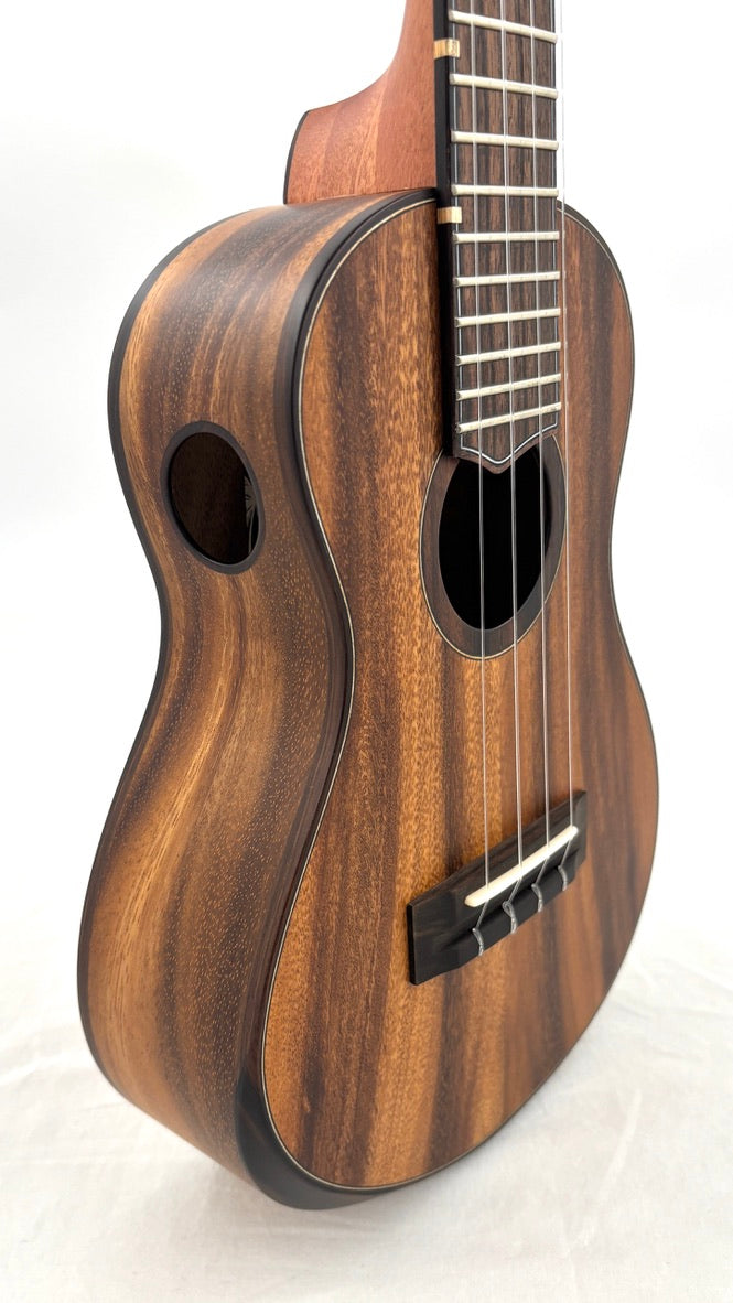'Oli L2 Concert Acacia satin (L2-CA-S)