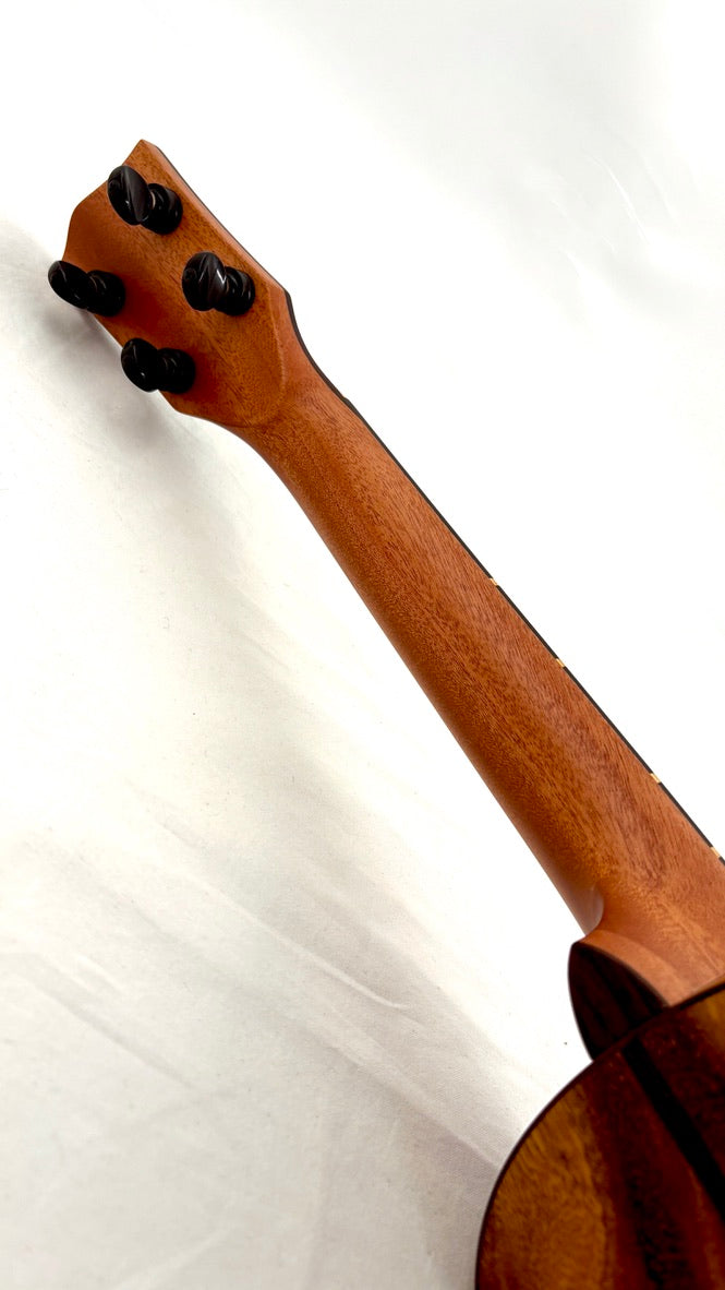 'Oli L2 Concert Acacia satin (L2-CA-S)