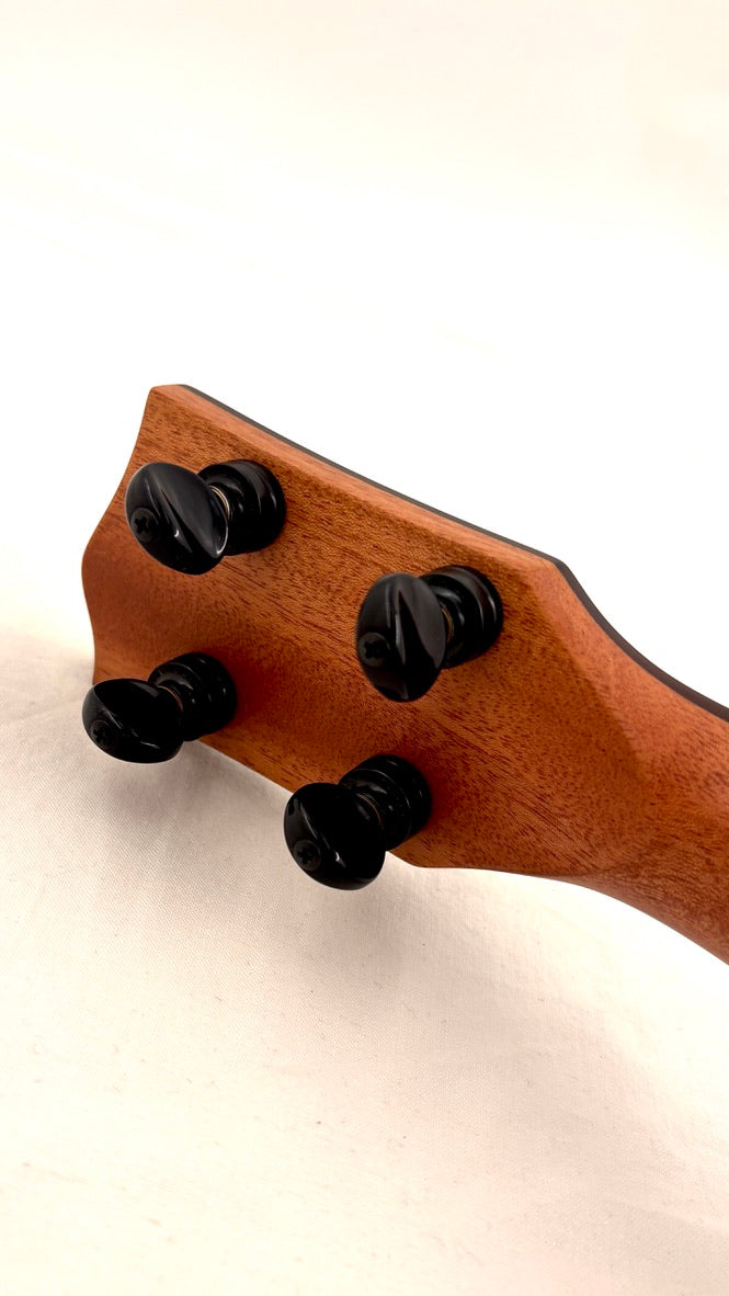 'Oli L2 Concert Acacia satin (L2-CA-S)