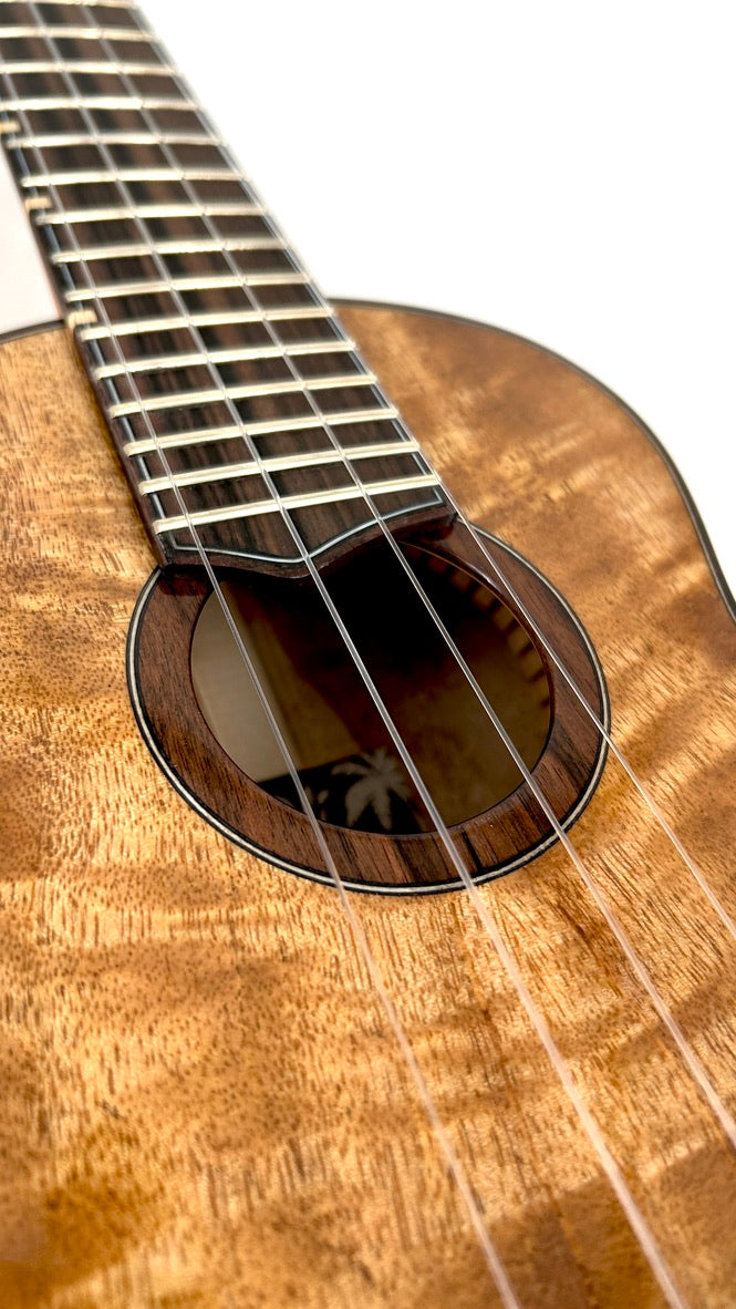 'Oli L2 Concert Mango gloss (L2-CMG)