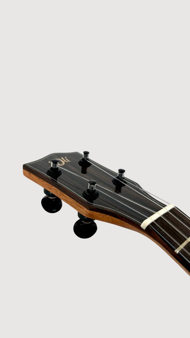'Oli L2 Concert Spruce Flamed Maple gloss (L2-CSFM)