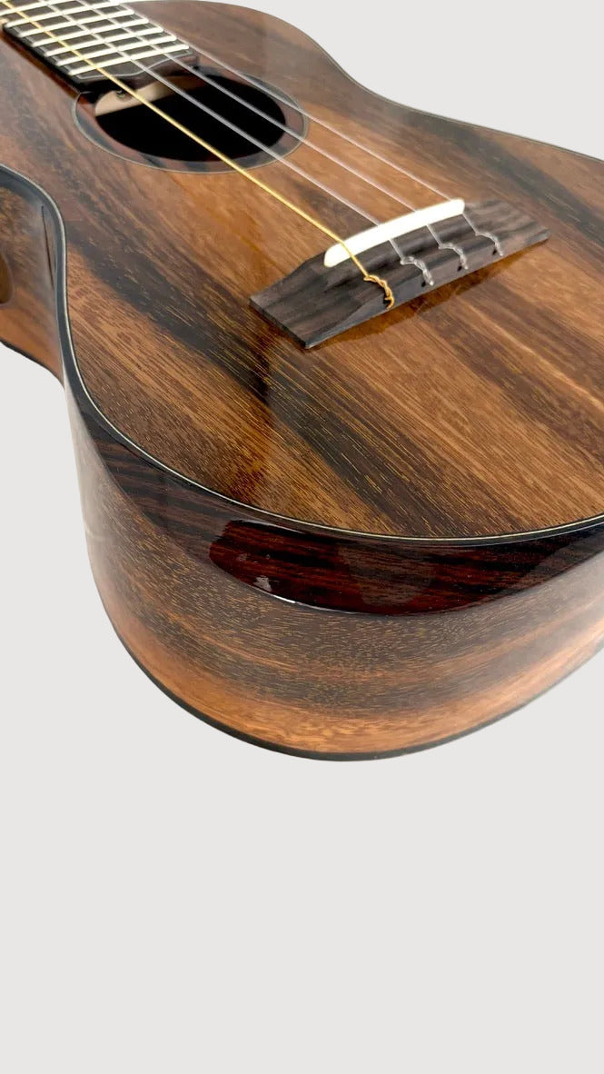 'Oli L2 Tenor Acacia gloss (L2-TA)