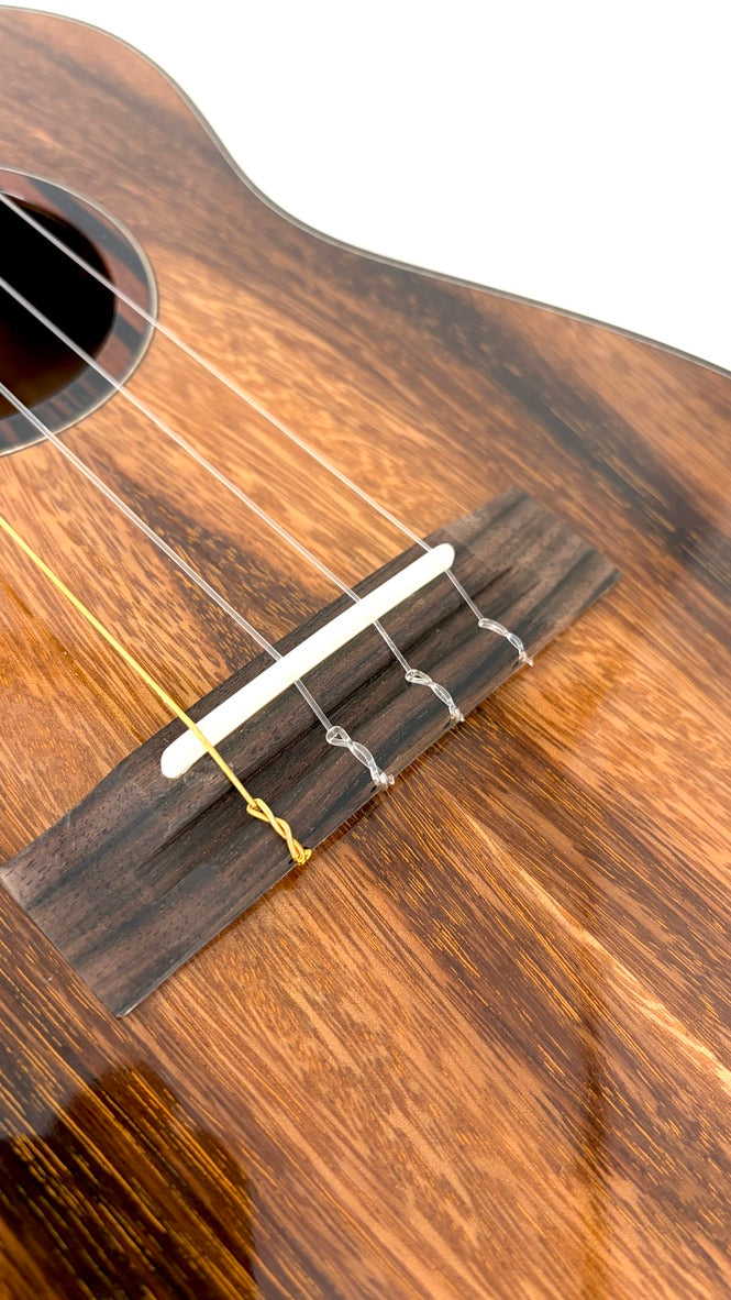 'Oli L2 Tenor Acacia gloss (L2-TA)