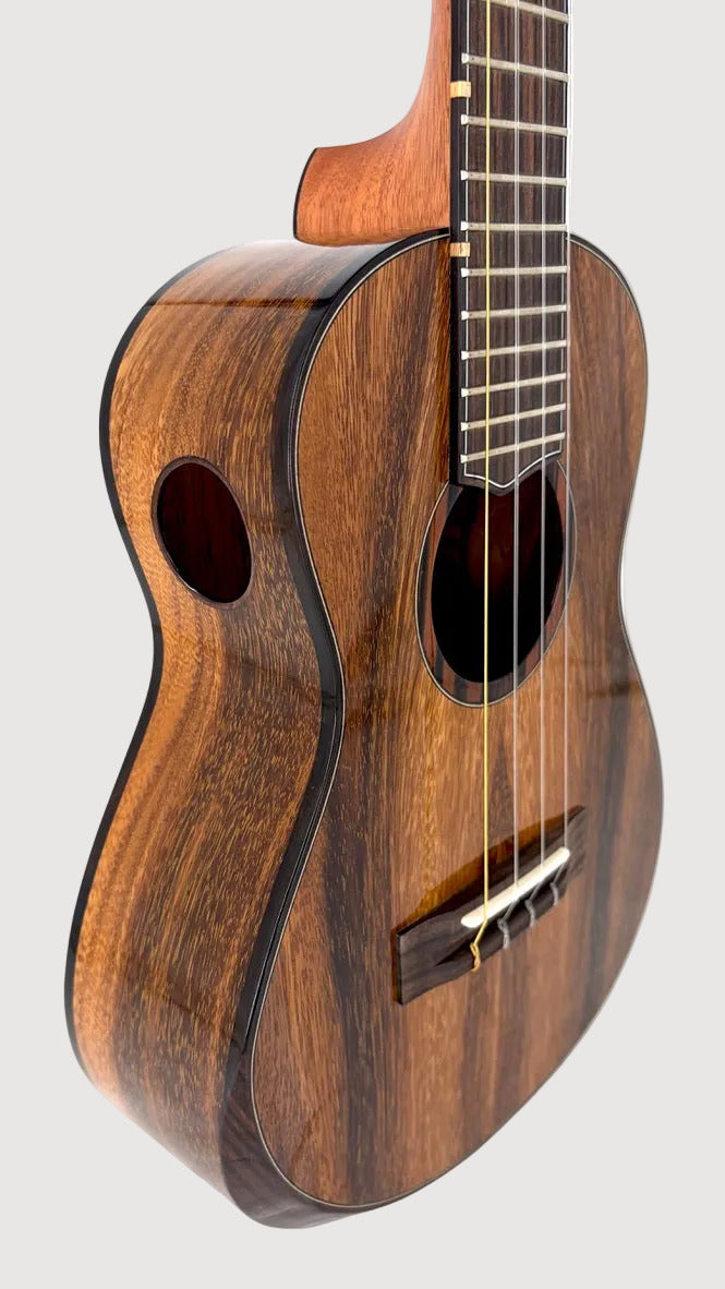 'Oli L2 Tenor Acacia gloss (L2-TA)