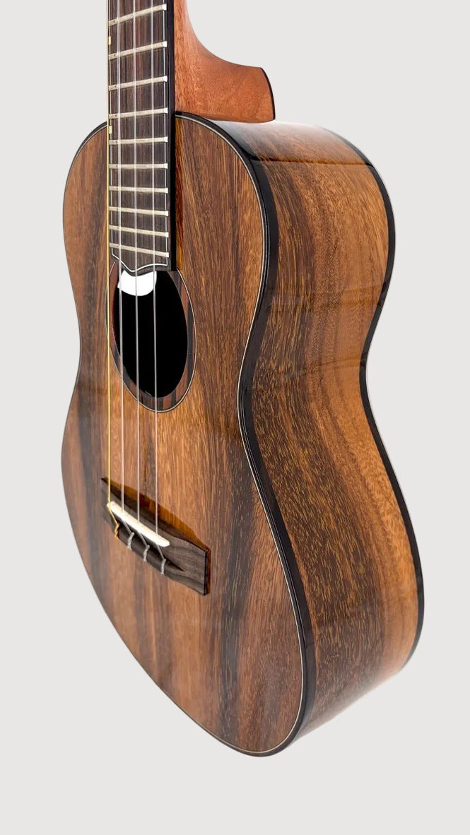 'Oli L2 Tenor Acacia gloss (L2-TA)
