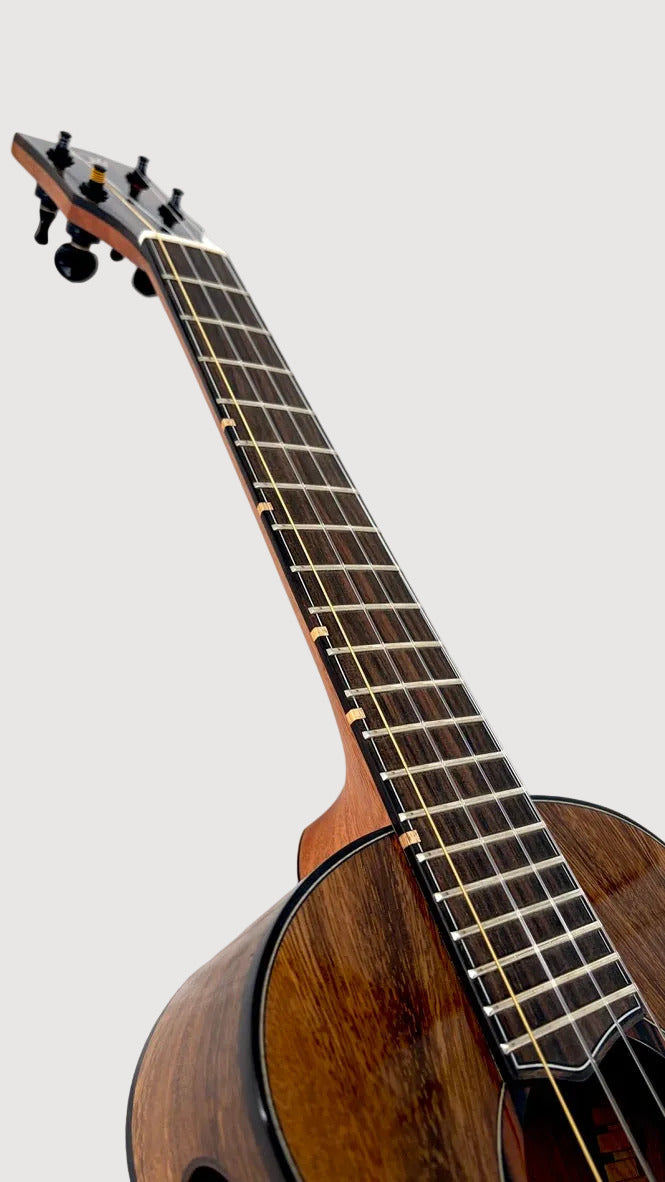 'Oli L2 Tenor Acacia gloss (L2-TA)