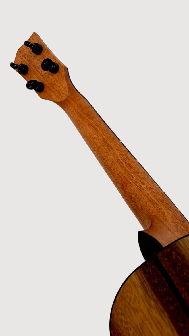 'Oli L2 Tenor Acacia gloss (L2-TA)