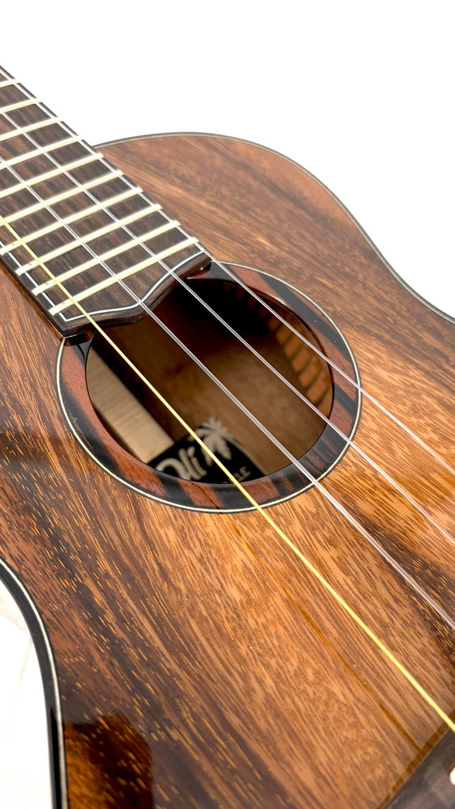 'Oli L2 Tenor Acacia gloss (L2-TA)