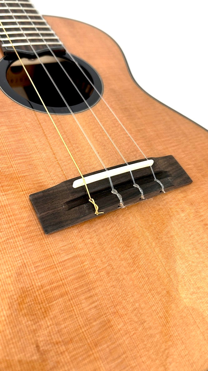 'Oli L2 Tenor Cedar Rosewood gloss (L2 TCR)