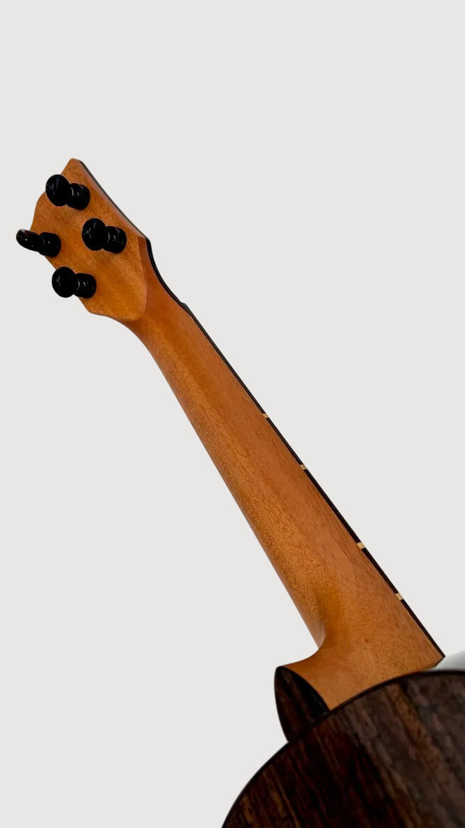 'Oli L2 Tenor Cedar Rosewood gloss (L2 TCR)