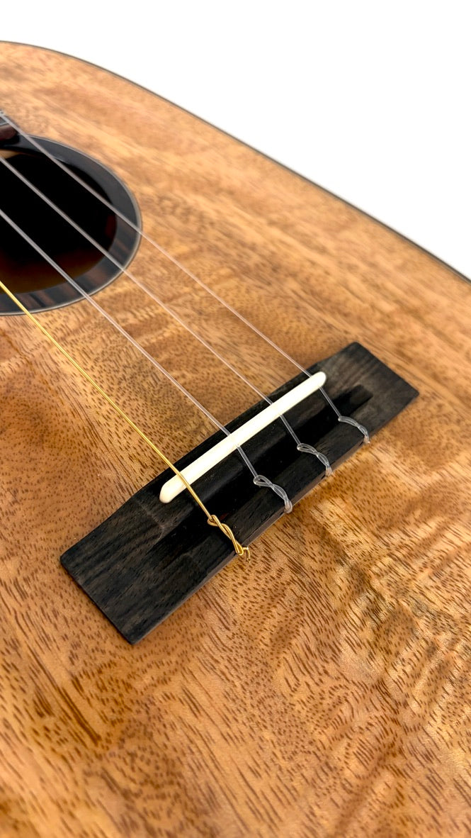 'Oli L2 Tenor Mango Pineapple gloss (L2 TPMG)