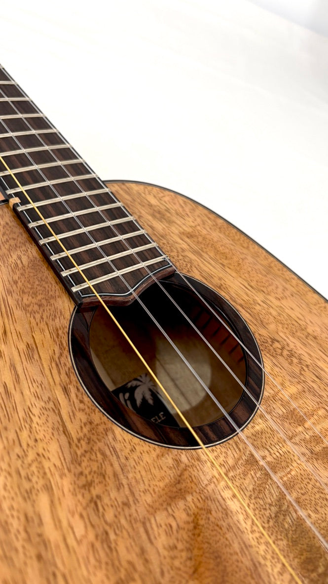 'Oli L2 Tenor Mango Pineapple gloss (L2 TPMG)