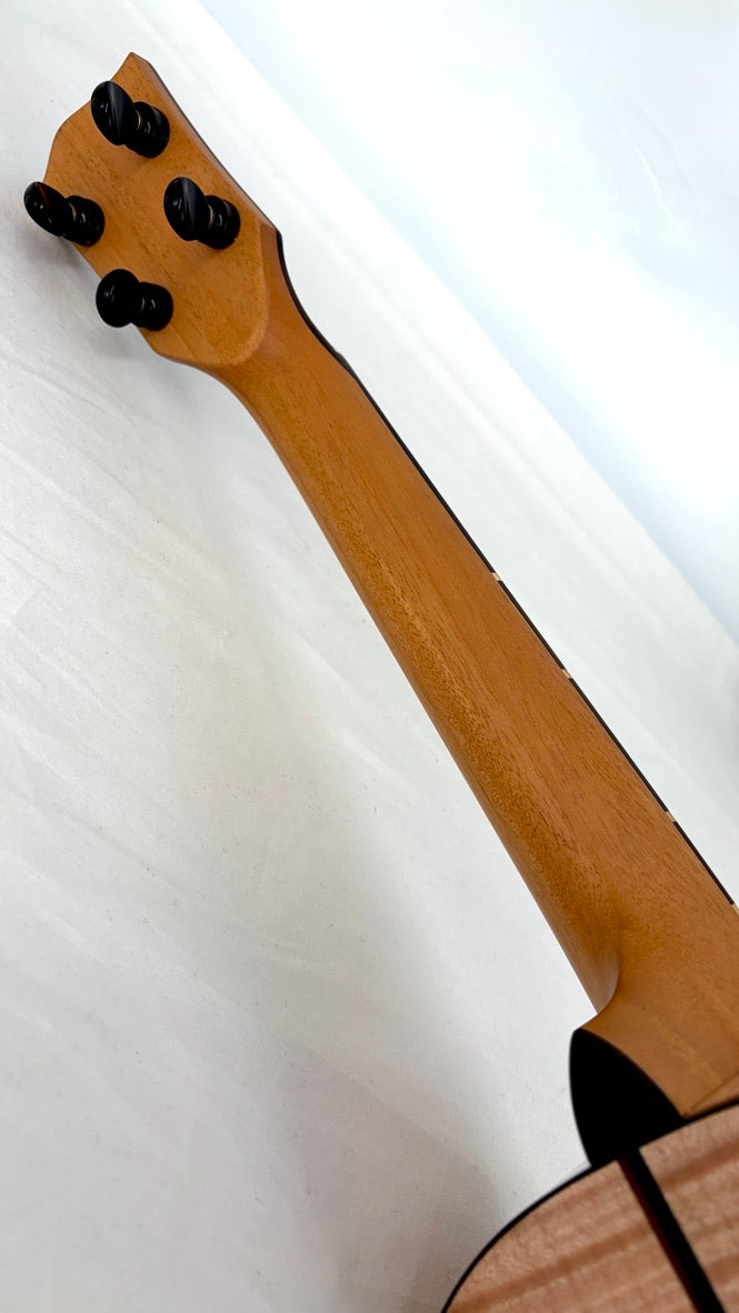 'Oli L2 Tenor Spruce Flamed Maple gloss (L2-TSFM)