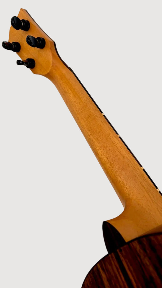 'Oli L2 Tenor Spruce Rosewood satin (L2-TSR-S)