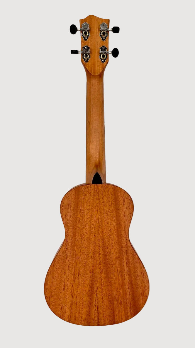 'Oli L Concert Mahagoni satin (L-CM-S)