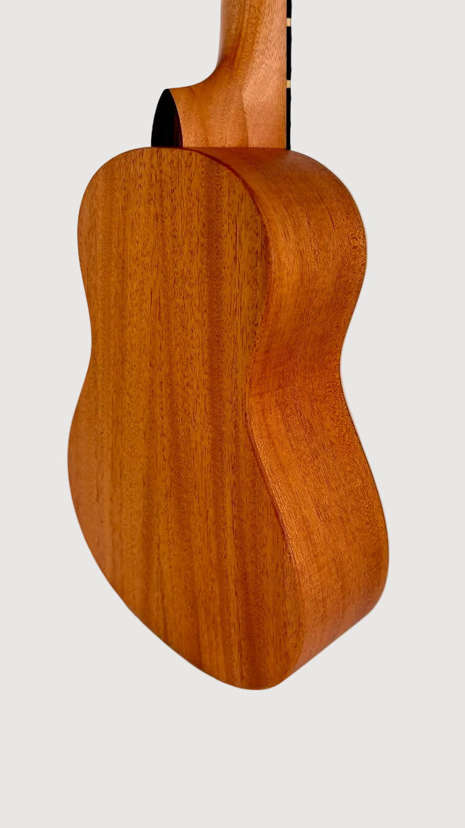 'Oli L Concert Mahagoni satin (L-CM-S)