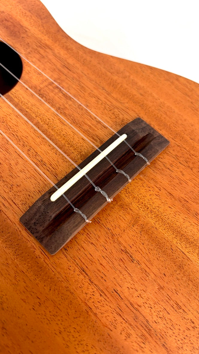 'Oli L Concert Mahagoni satin (L-CM-S)