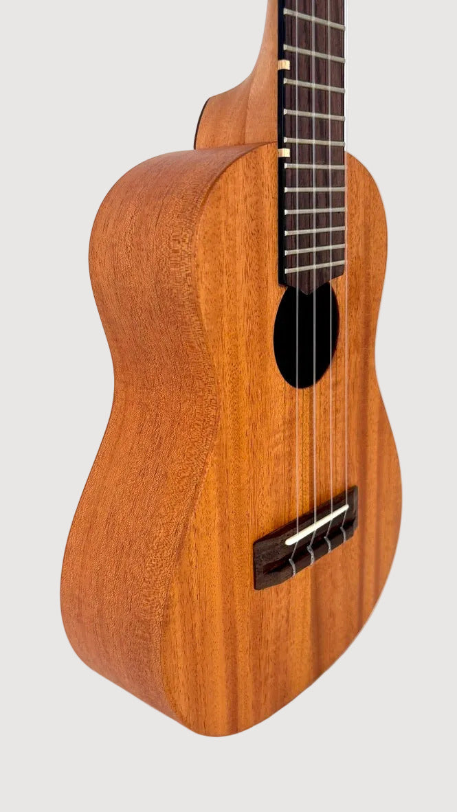 'Oli L Concert Mahagoni satin (L-CM-S)