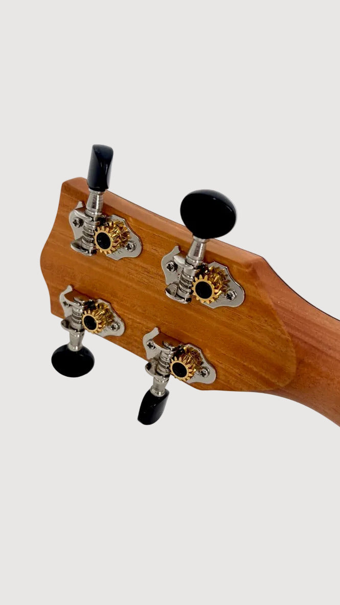 'Oli L Concert Mahagoni satin (L-CM-S)