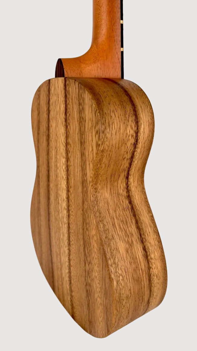 'Oli L Tenor Acacia satin (L-TA-S)
