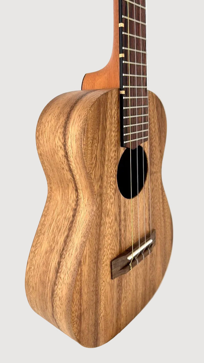'Oli L Tenor Acacia satin (L-TA-S)