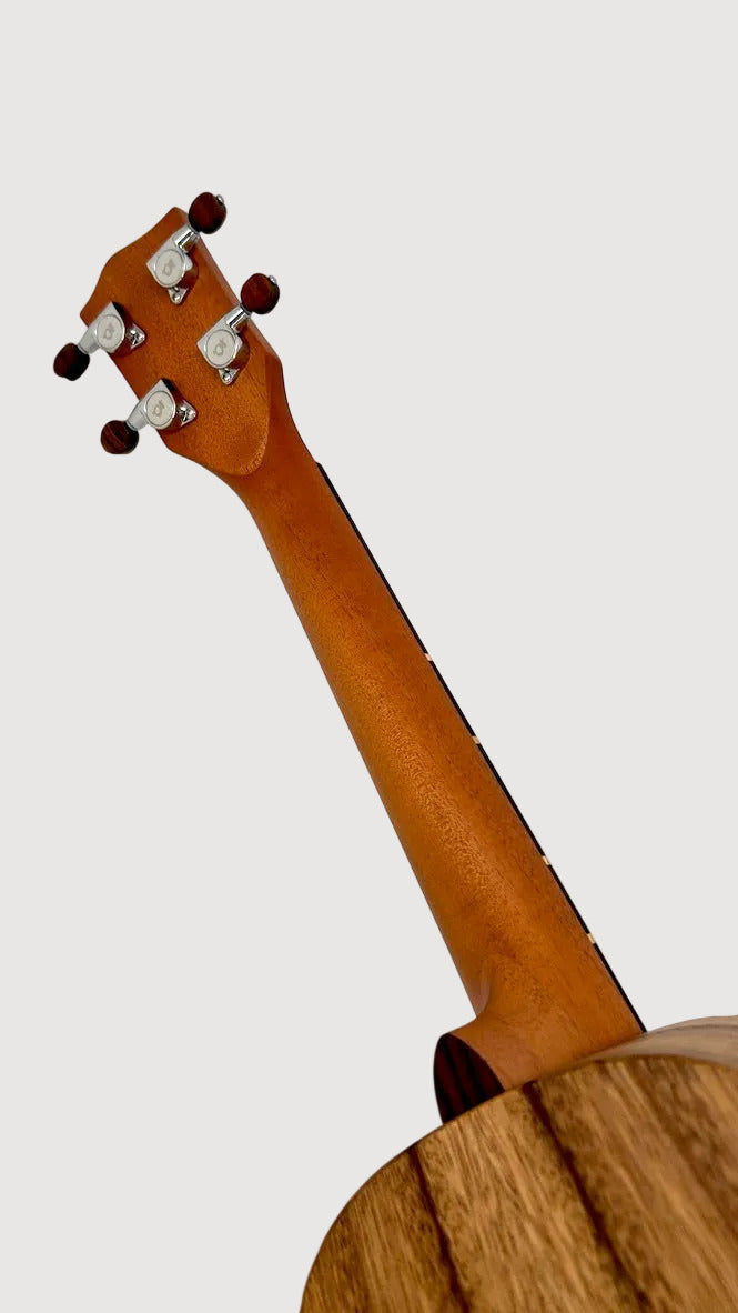 'Oli L Tenor Acacia satin (L-TA-S)