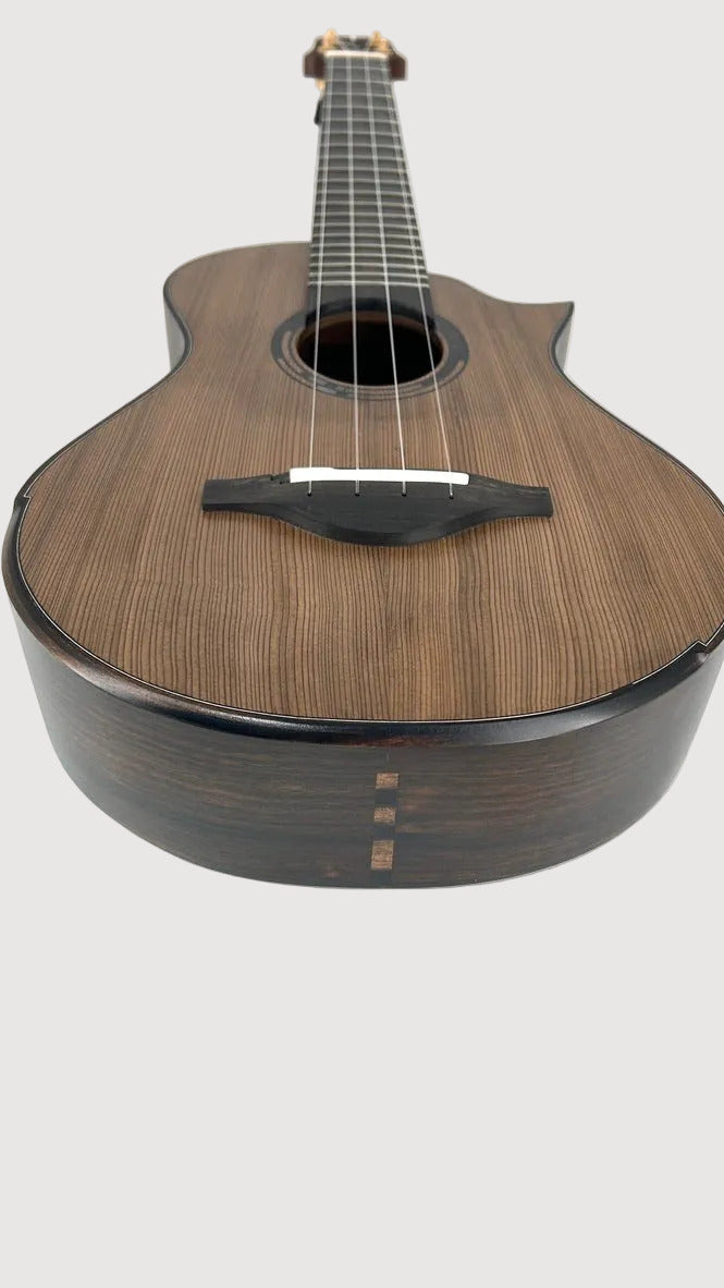 Po Sans Tenor