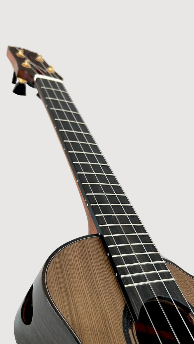 Po Sans Tenor