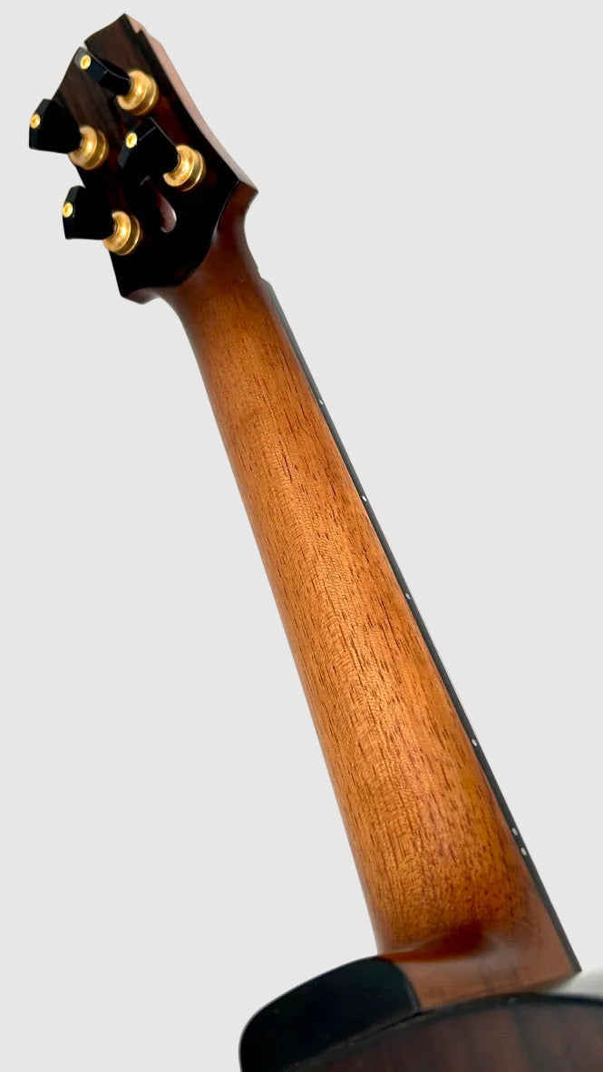 Po Sans Tenor