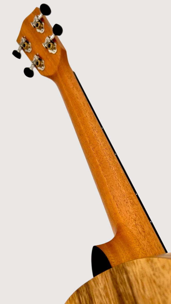 PONO AB Bariton